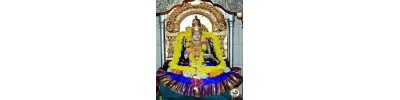 சாரதாம்பிகை - சிருங்கேரி - கர்நாடகா